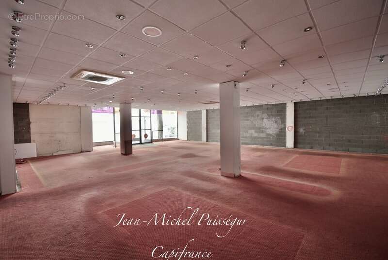 Commerce à SAINT-GAUDENS