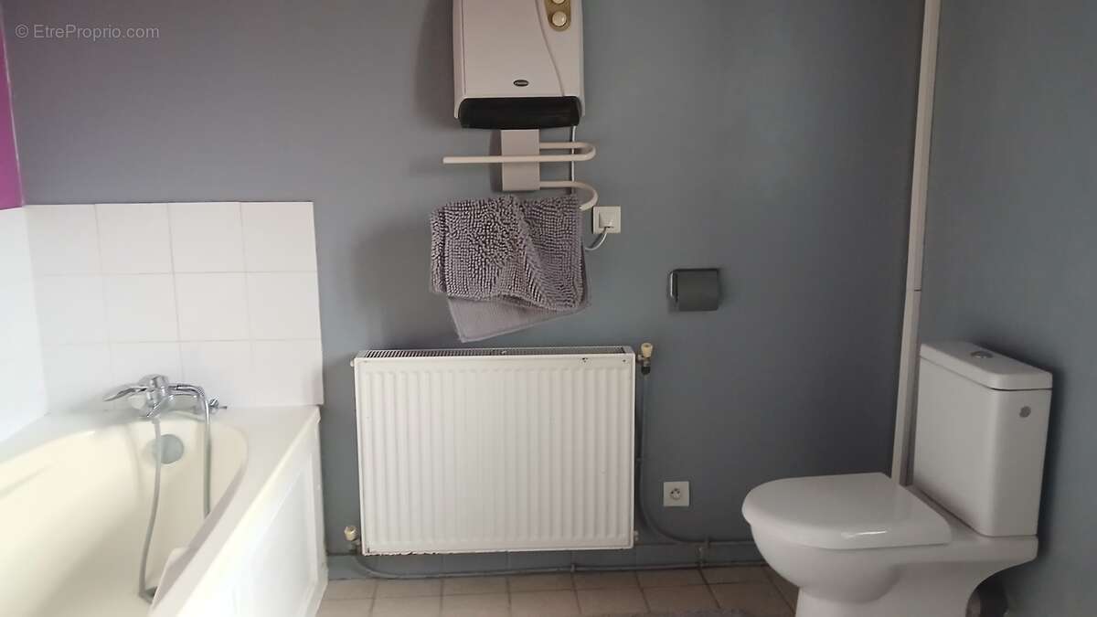 Maison 217 m² à Saint-Severin  - photo 66