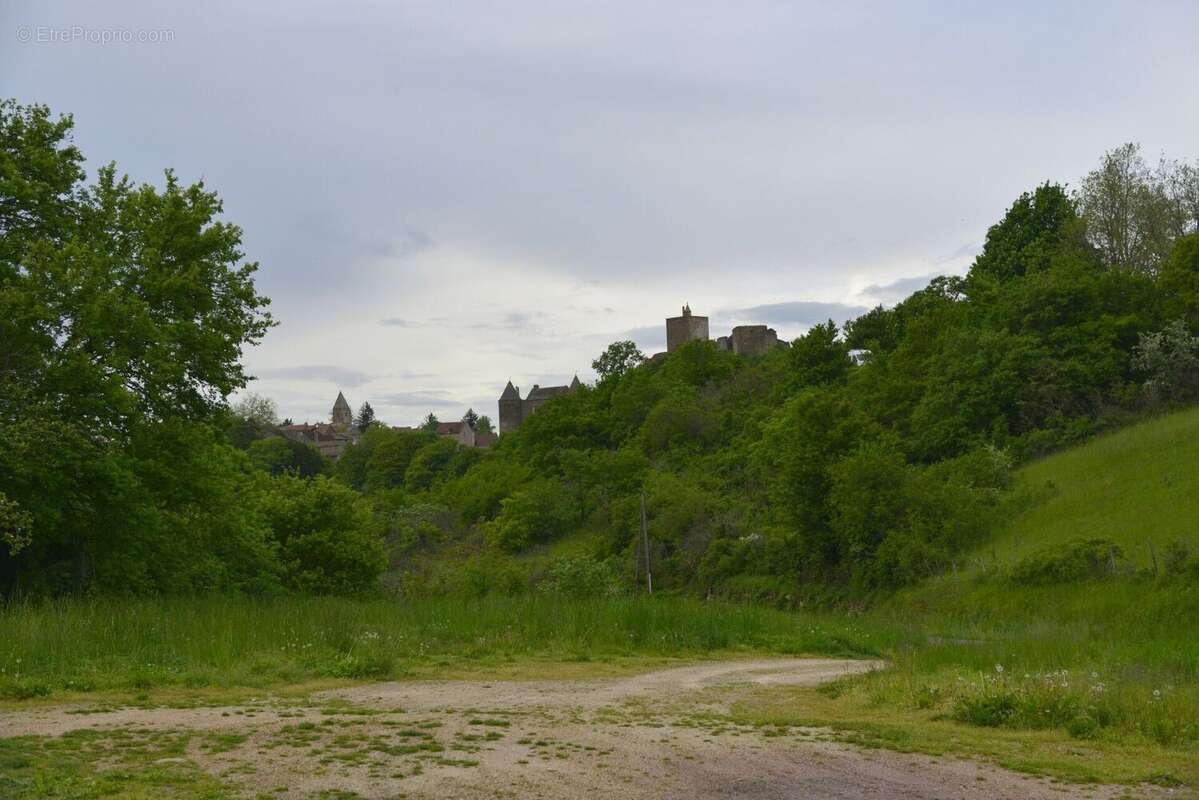 Photo 4 - Commerce à TOURNUS