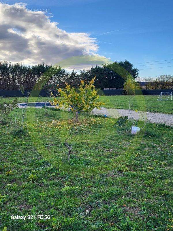 Maison à SAINT-CYR-EN-VAL