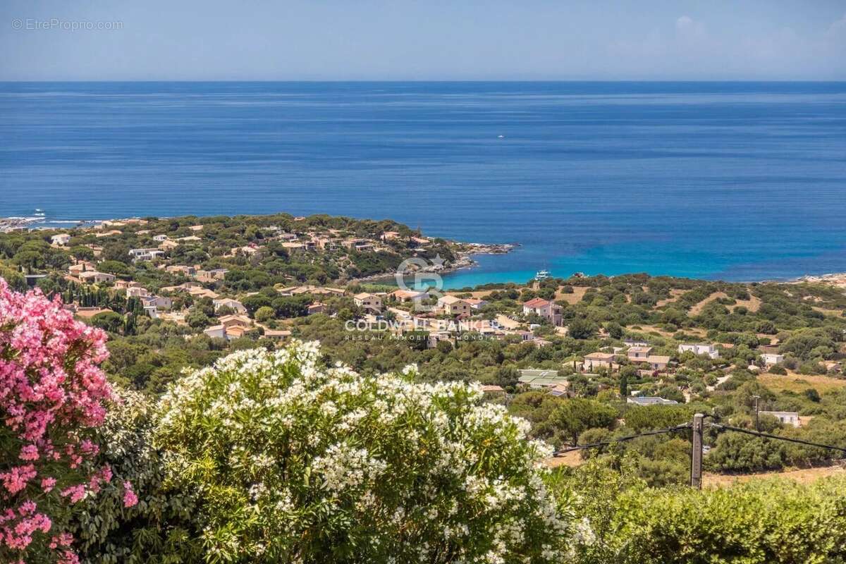 Corbara - Villa de Charme vue Panoramique - photo 47