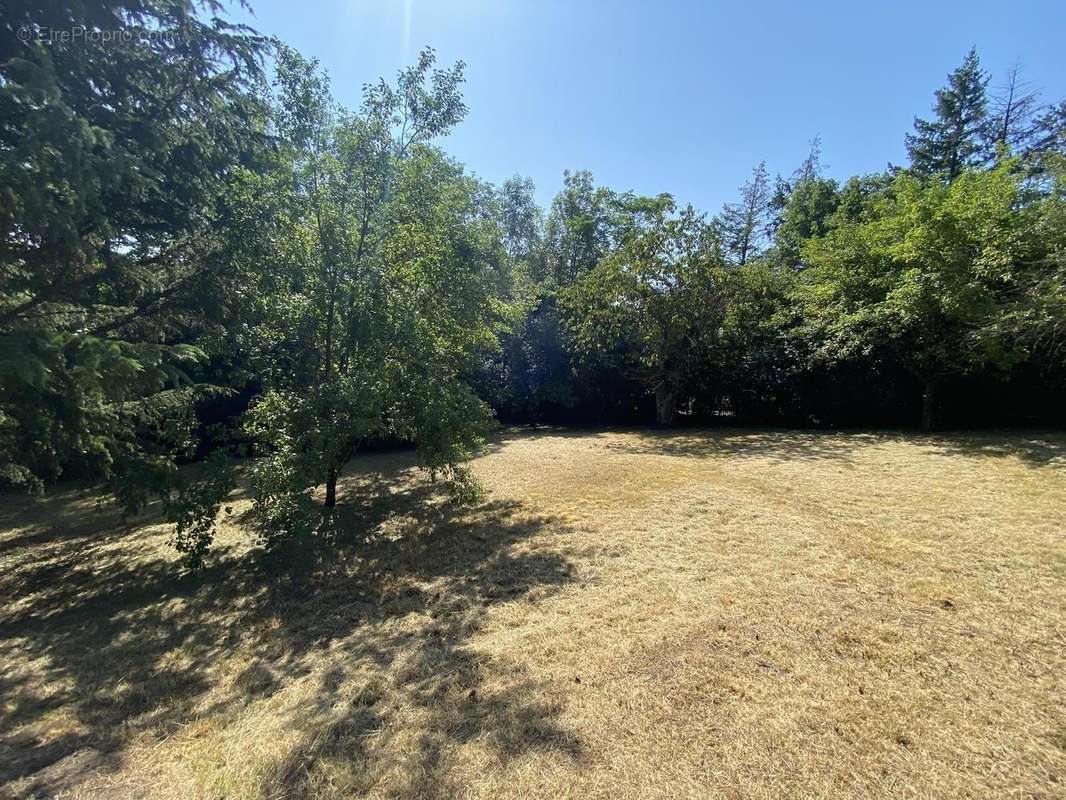 Photo 5 - Terrain à CHARBONNIERES-LES-BAINS