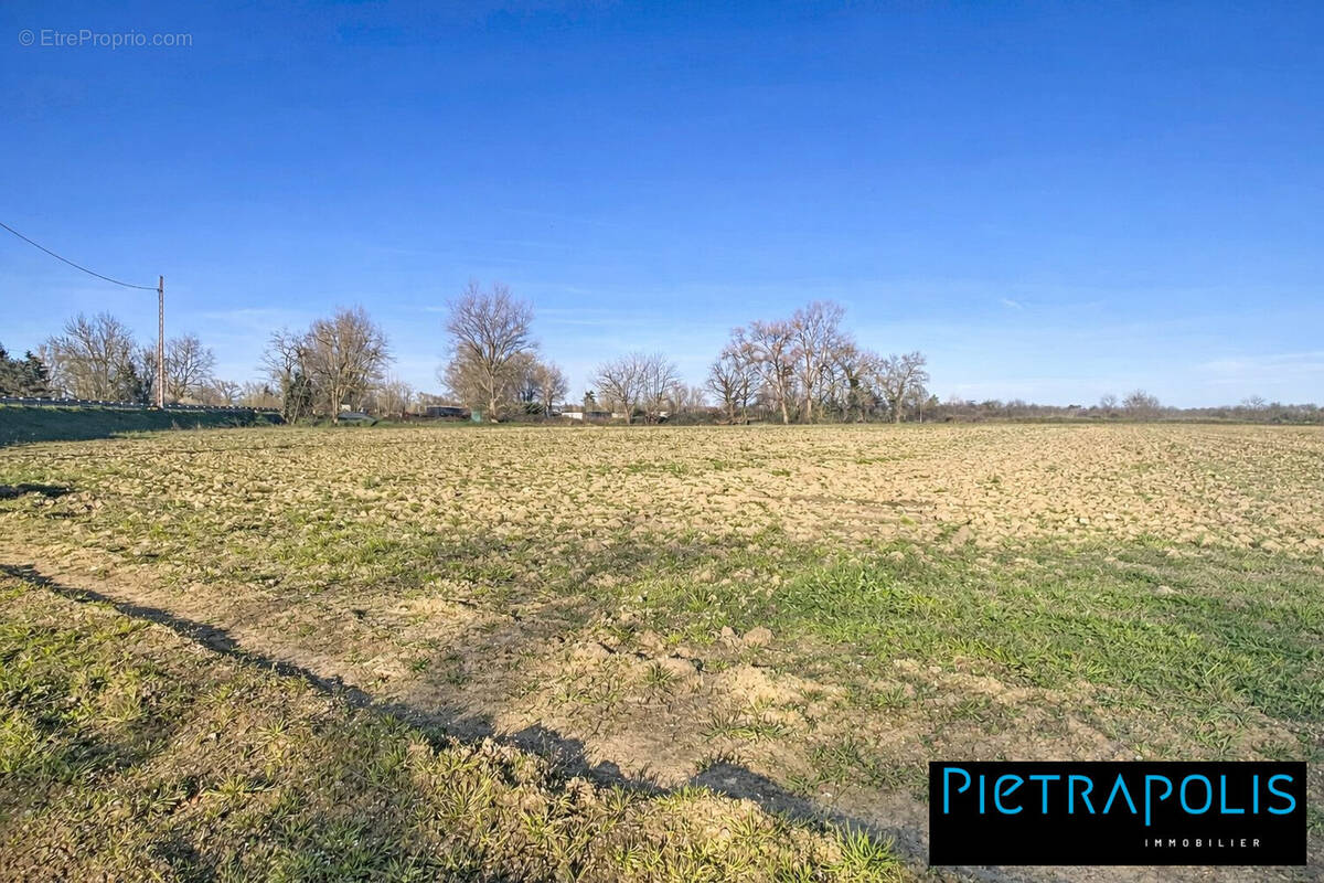 Terrain à SAINT-GEORGES-DE-RENEINS
