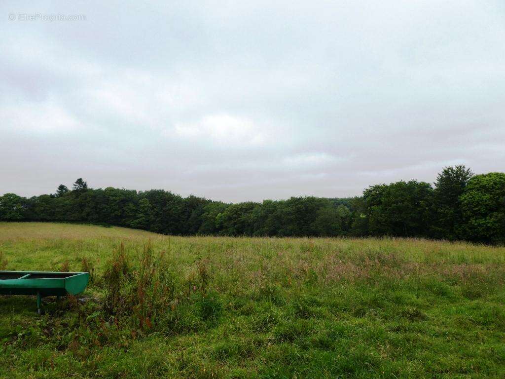Terrain à PLOURAY