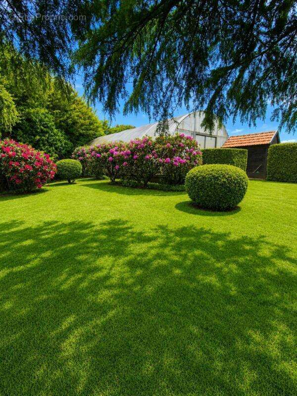 Magnifique propriété de 218 m² sur parc arboré de 3 748 m² avec hangar de 256 m² - photo 3