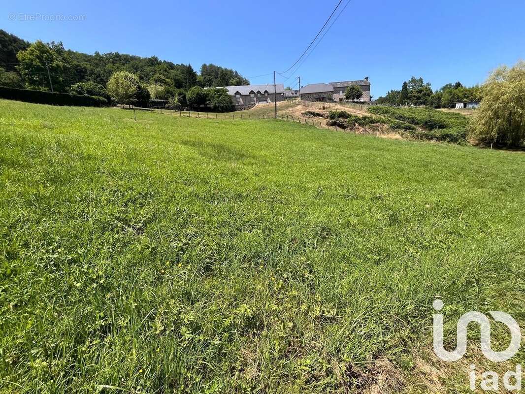 Photo 7 - Terrain à BRIVE-LA-GAILLARDE