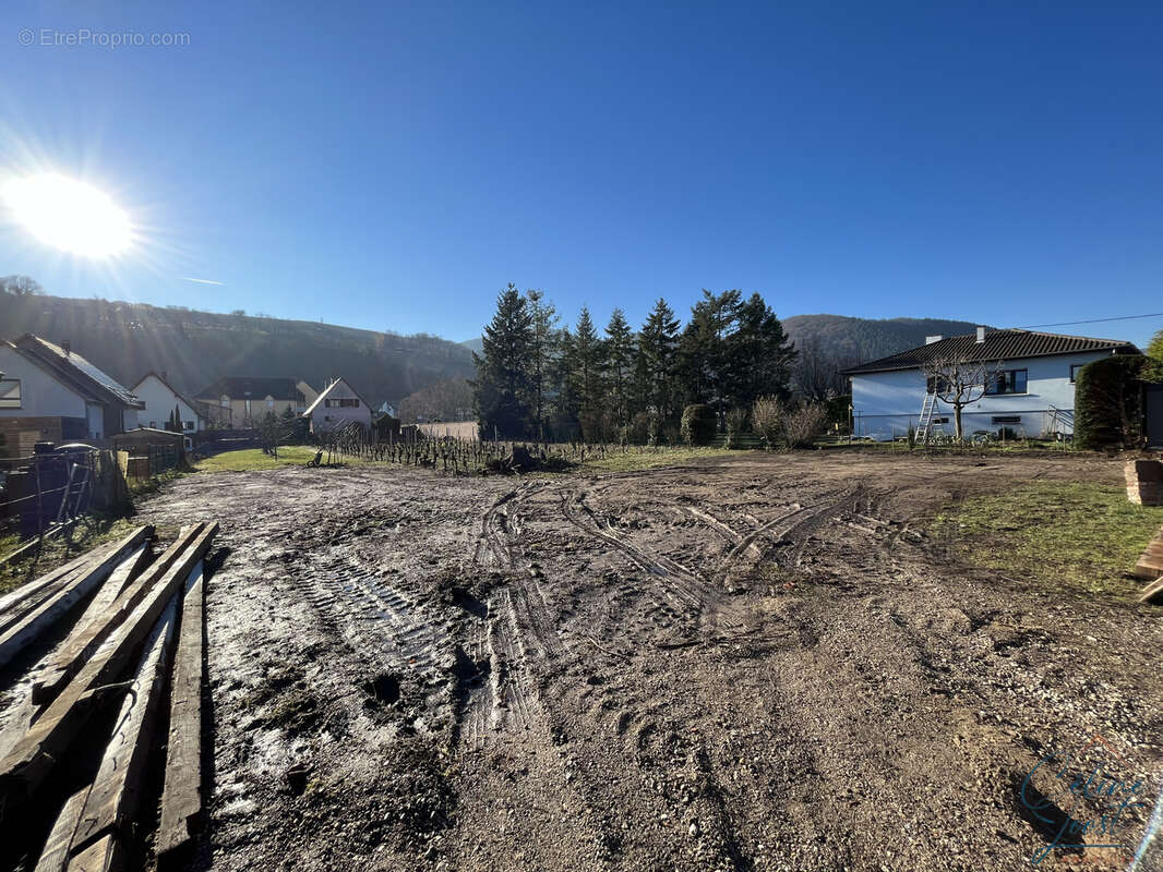 Terrain à WINTZENHEIM