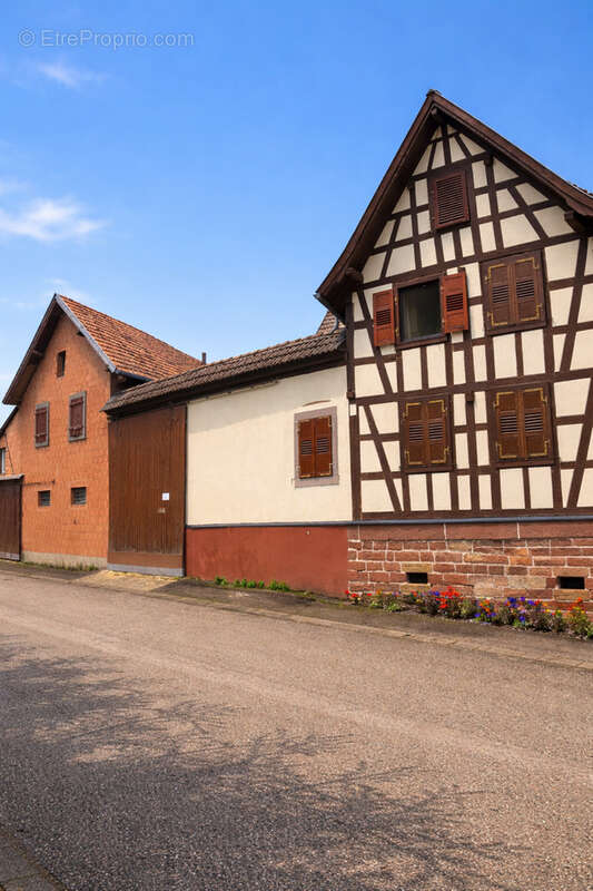 Maison à HOCHFELDEN