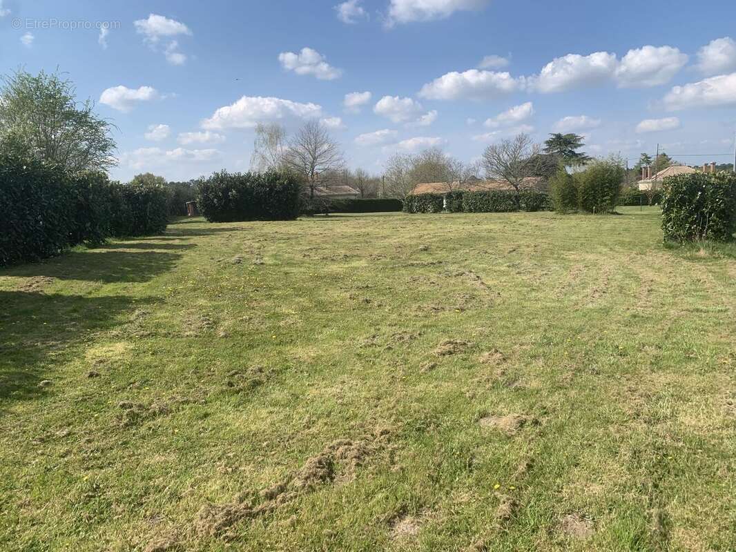 Terrain à bâtir de 850 m² à SENDETS (33) - photo 2