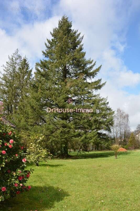 Maison à SAINT-MATHIEU