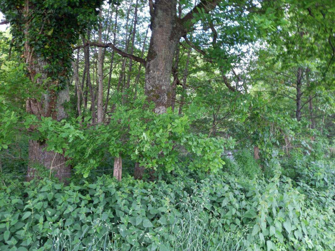 Terrain à vendre de 405,00 m² Proche de COURTEMAUX (45320) - photo 6