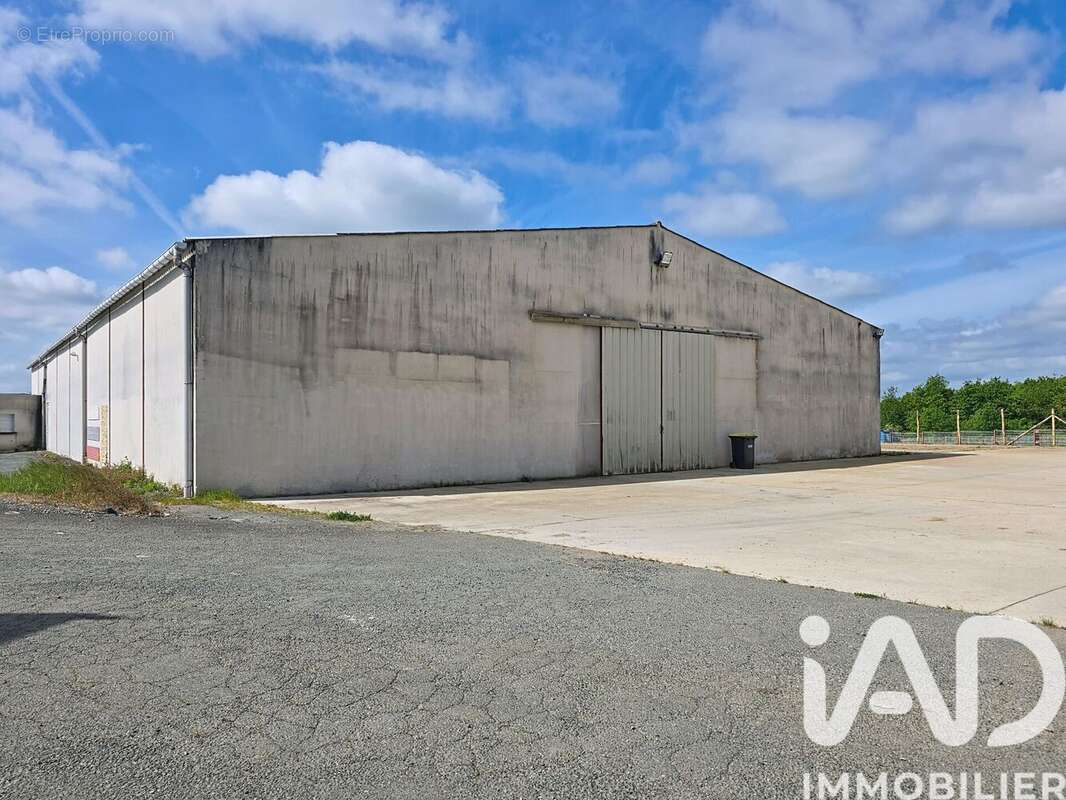 Photo 7 - Appartement à MOZE-SUR-LOUET