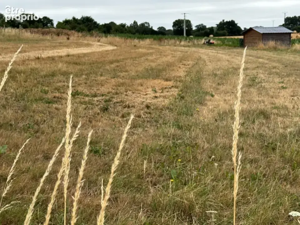 Terrain à SACE