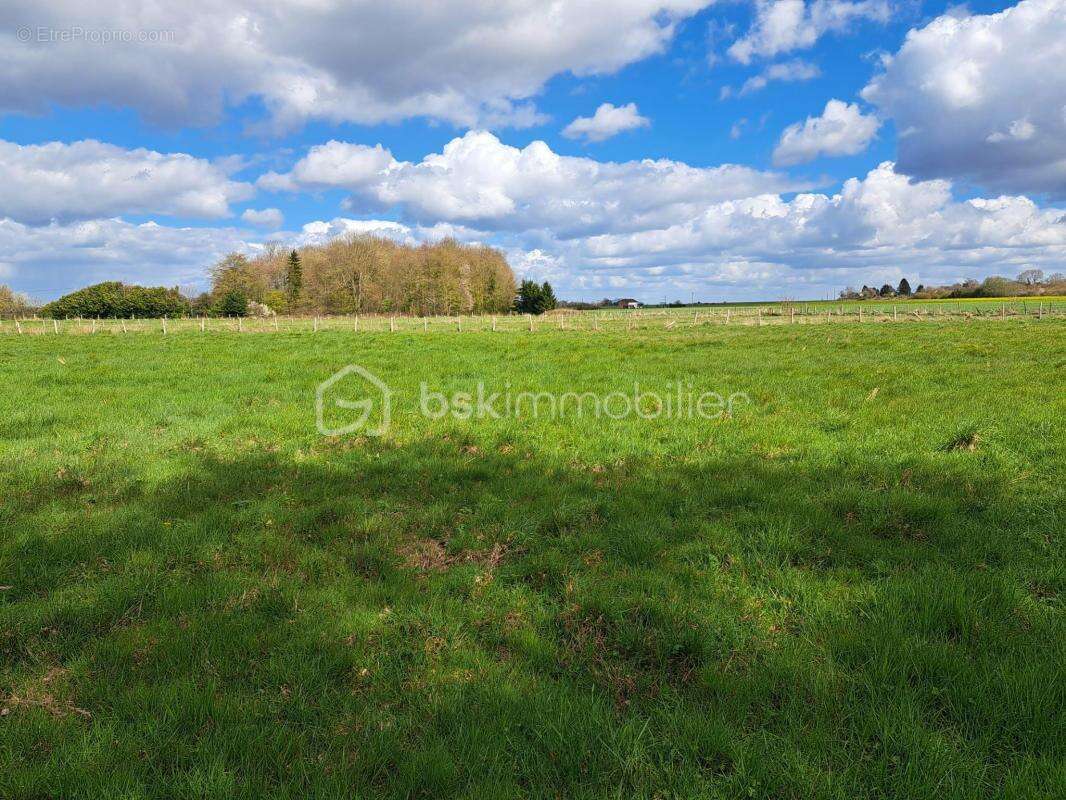 Propriété de Caractère sur 4,3 Hectares – Potentiel Équestre - photo 21