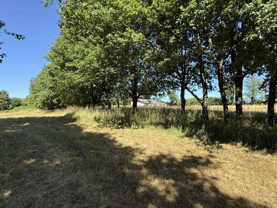 Terrain à BEYSSENAC