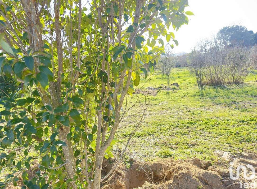 Photo 4 - Terrain à SAINT-ALEXANDRE