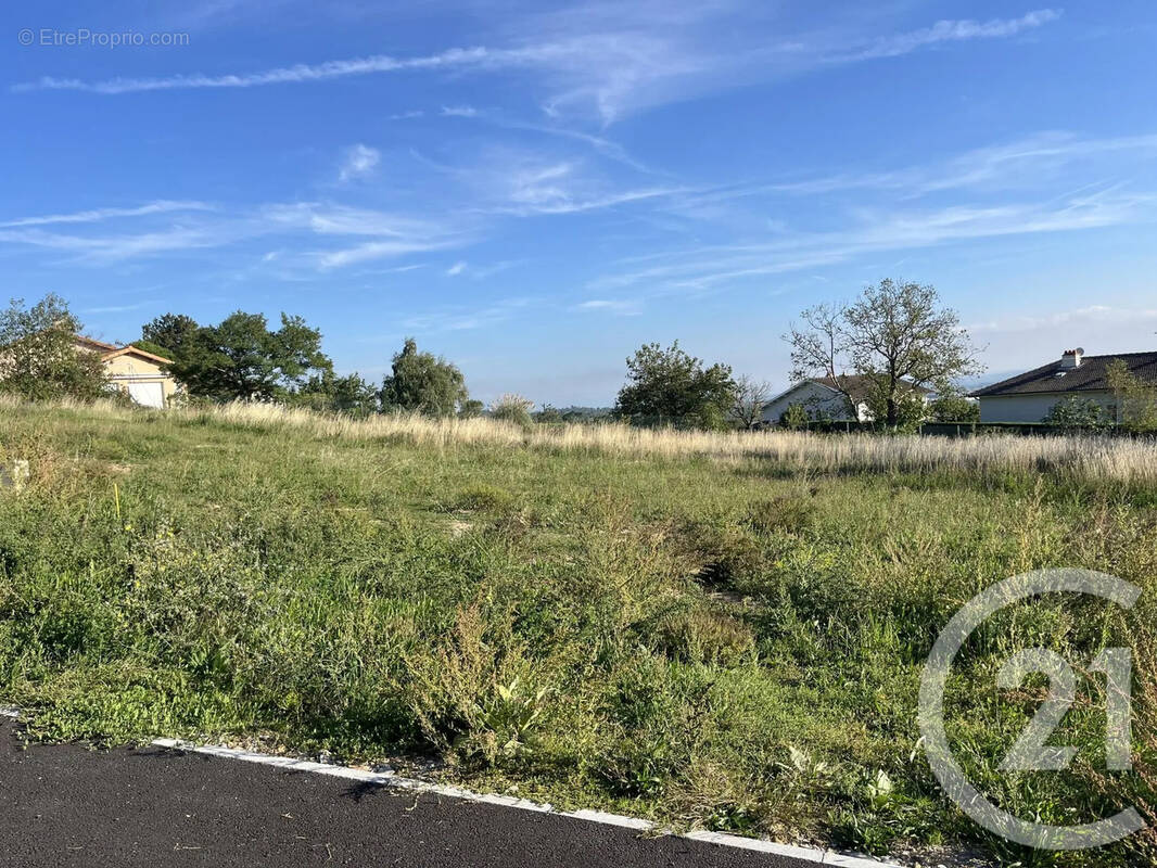 Terrain à SAINT-CLAIR