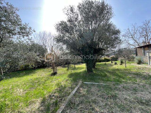Terrain à VILLENEUVE