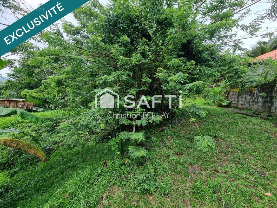 Photo 6 - Terrain à LE LAMENTIN