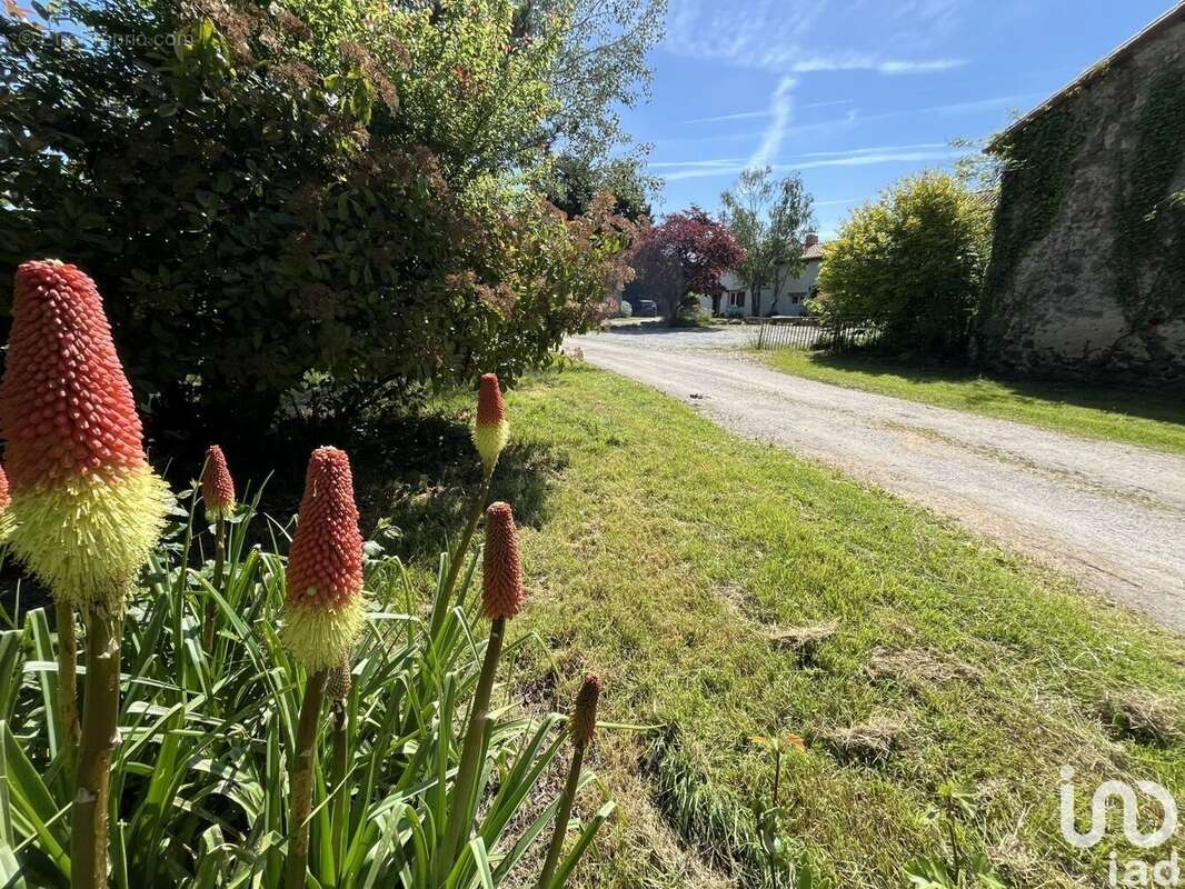 Photo 3 - Commerce à GOURGE