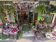 Autre à CAGNES-SUR-MER