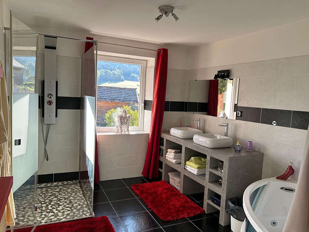 Maison 273m² à aranc - photo 14