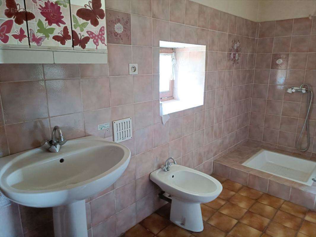 Maison à SAINTE-JULIETTE-SUR-VIAUR