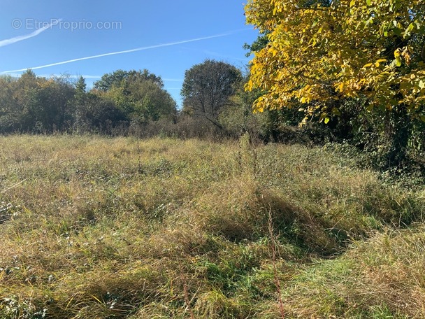 Maison à NEONS-SUR-CREUSE