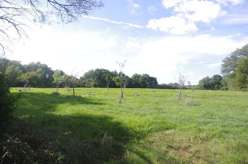 Maison en pierre à restaurer de 200 m², 8 pièces à aménager, terrain d'environ 3ha située au calme à vendre - photo 7