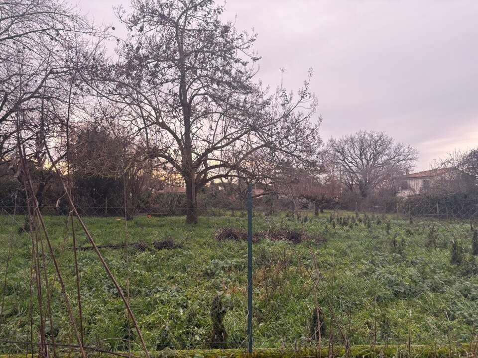 Terrain à VILLEMUR-SUR-TARN