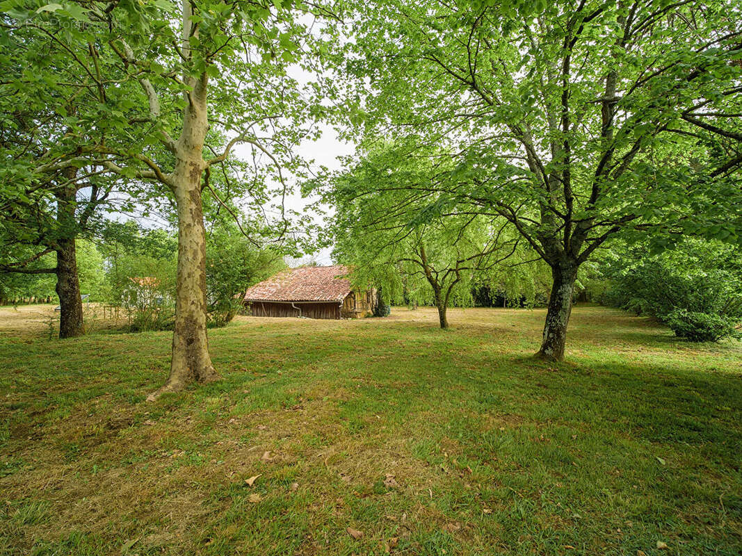 Maison à AIRE-SUR-L'ADOUR