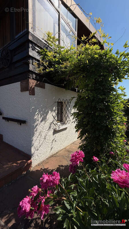 Maison 65 m² à Sainte-Croix-Aux-Mines  - photo 5