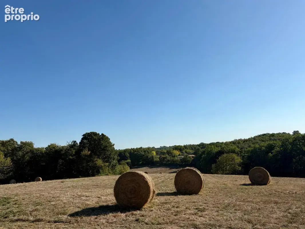 Maison de plain-pied sur 5,6 ha de prairies – vue dégagée – dépendances - photo 19