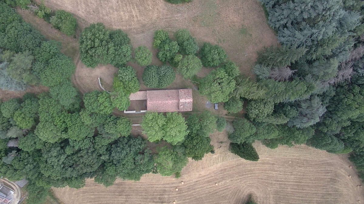 Haute Corbières - 20min de Limoux - Propriété d’Exception avec 98 ha de Forêt et Dépendances - photo 13