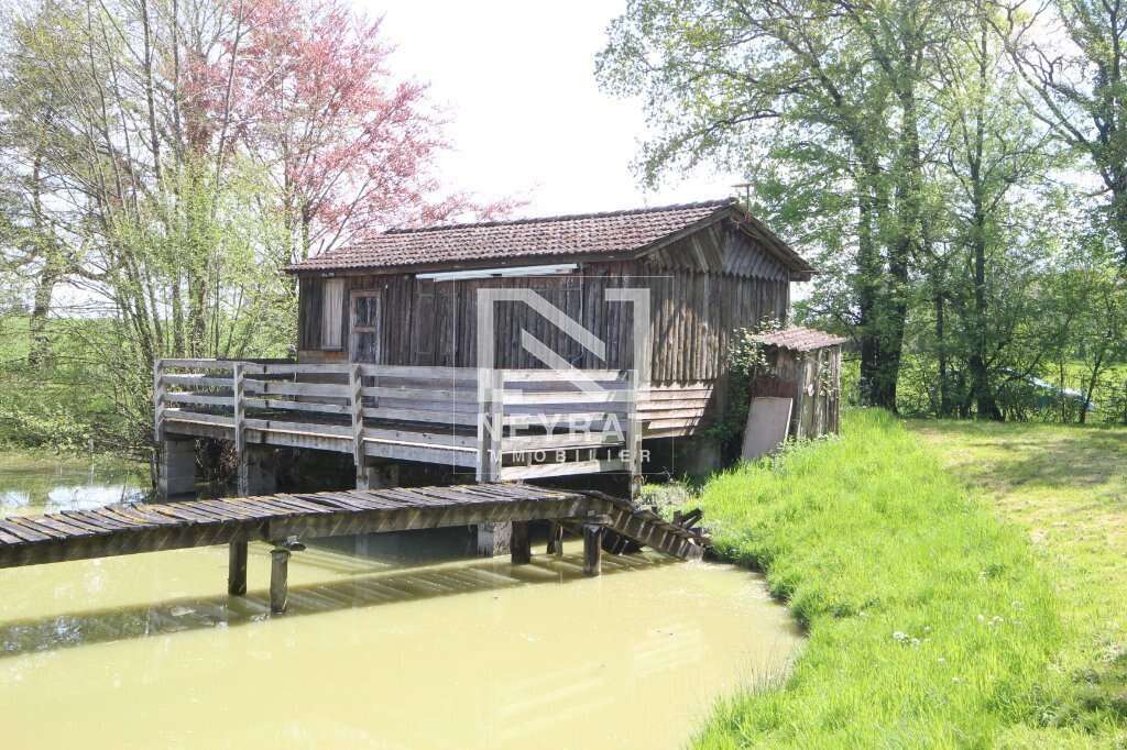 Etang avec sources - photo 5