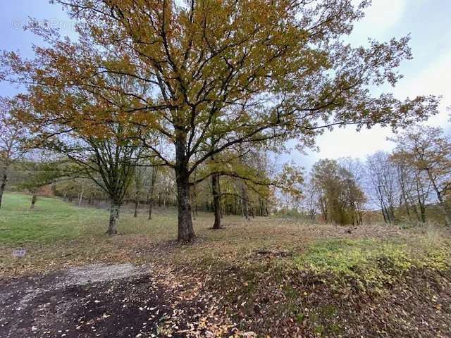 Terrain à SAINT-DENIS-CATUS
