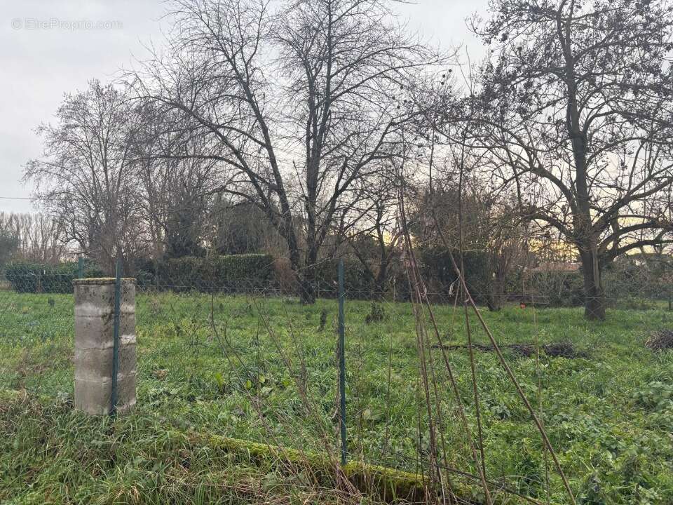 Terrain à BONDIGOUX