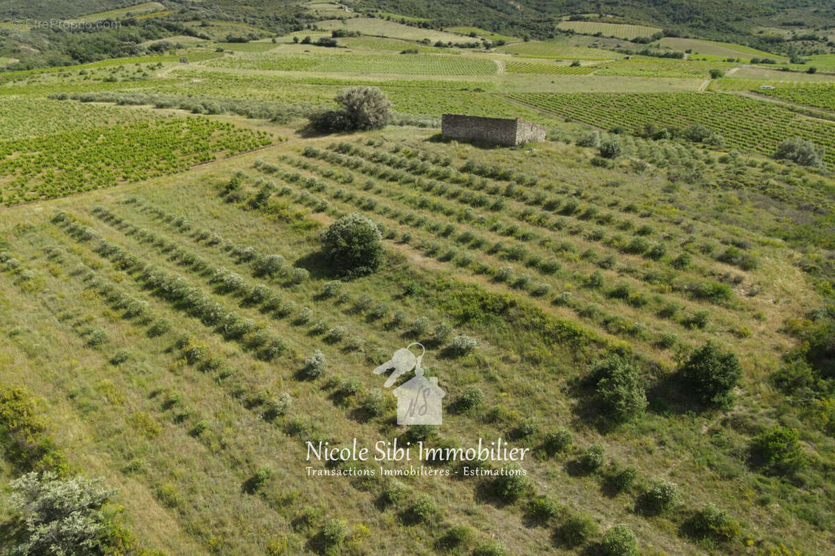 Terrain à MONTNER