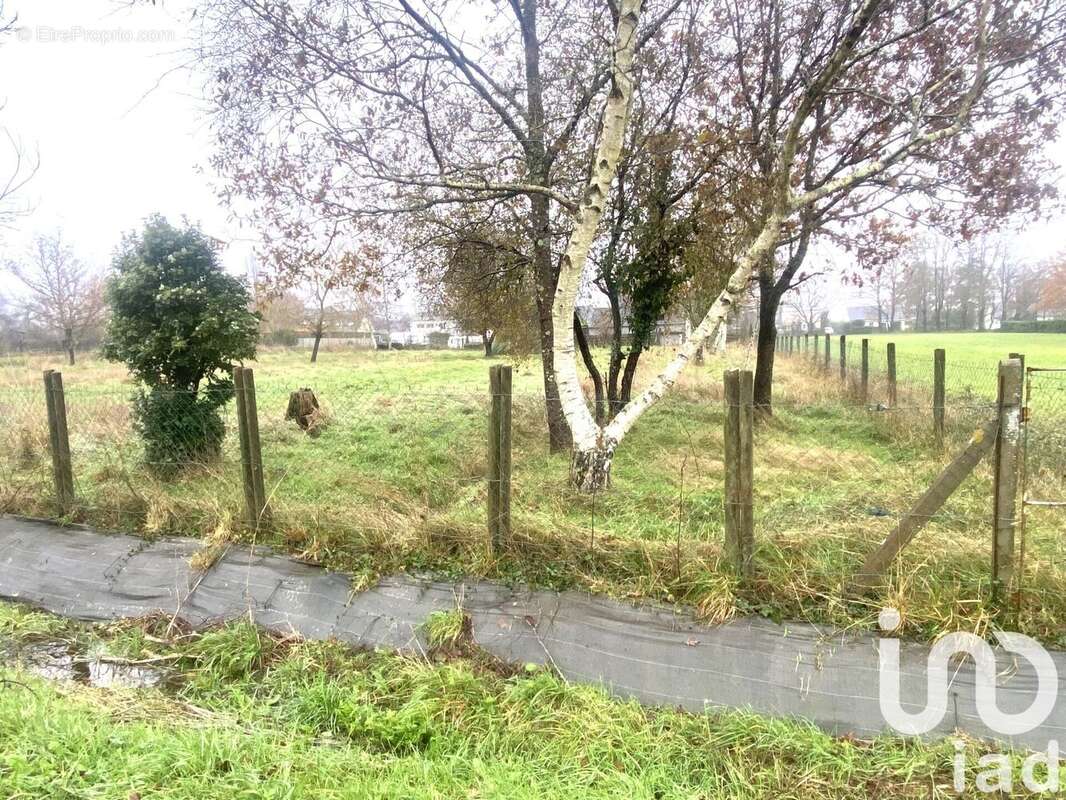 Photo 2 - Terrain à SAINTE-ANNE-SUR-BRIVET