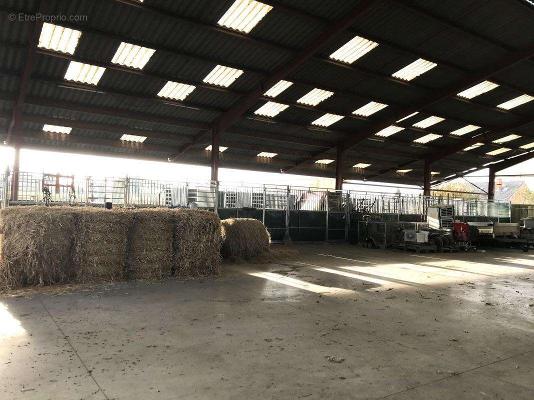 Appartement à BERSEE