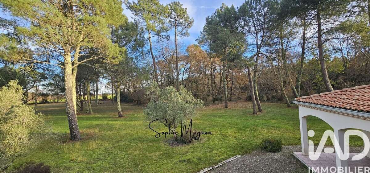 Photo 3 - Maison à LIPOSTHEY