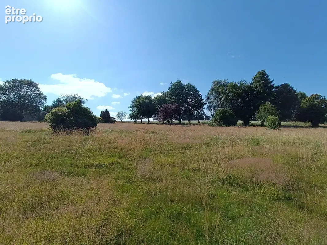 Saint Igeaux terrain a vendre - photo 3