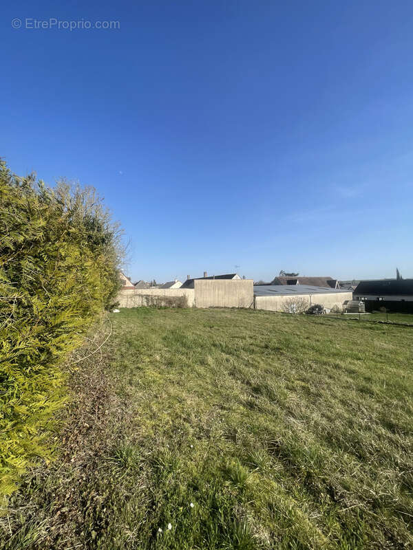 Terrain à BRAY-SUR-SEINE