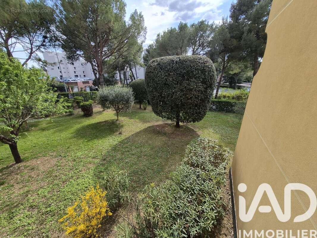Photo 4 - Appartement à DRAGUIGNAN