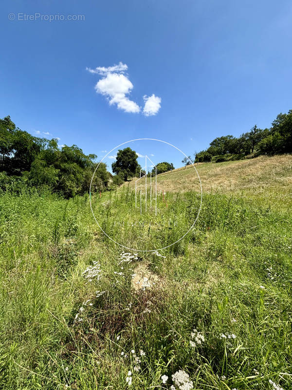 Terrain à SAINT-CLAIR-DU-RHONE