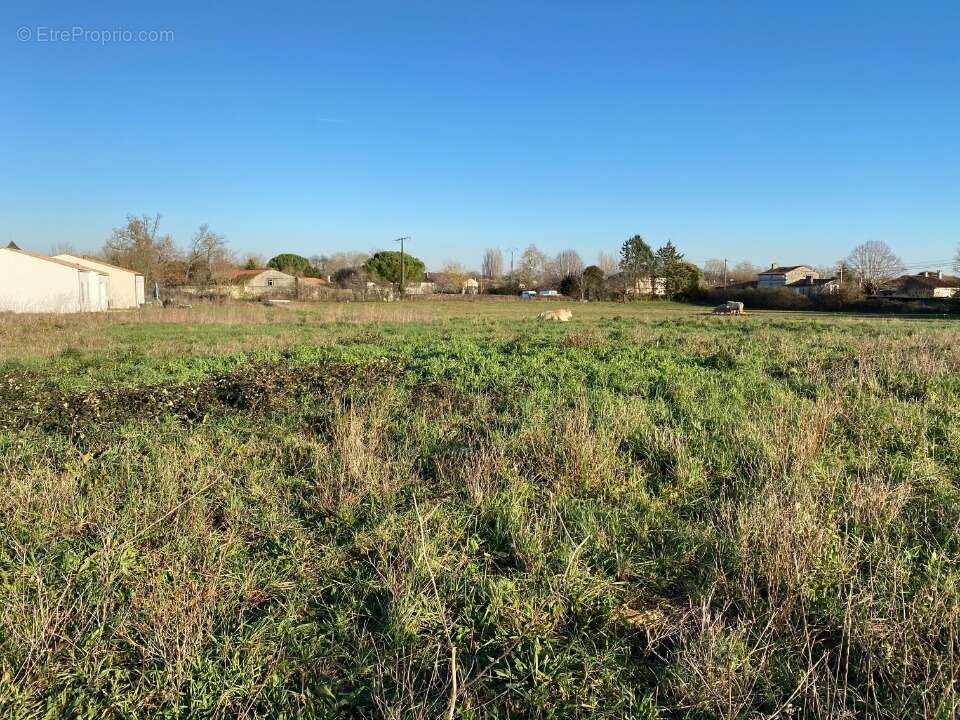 Terrain à PORT-D'ENVAUX