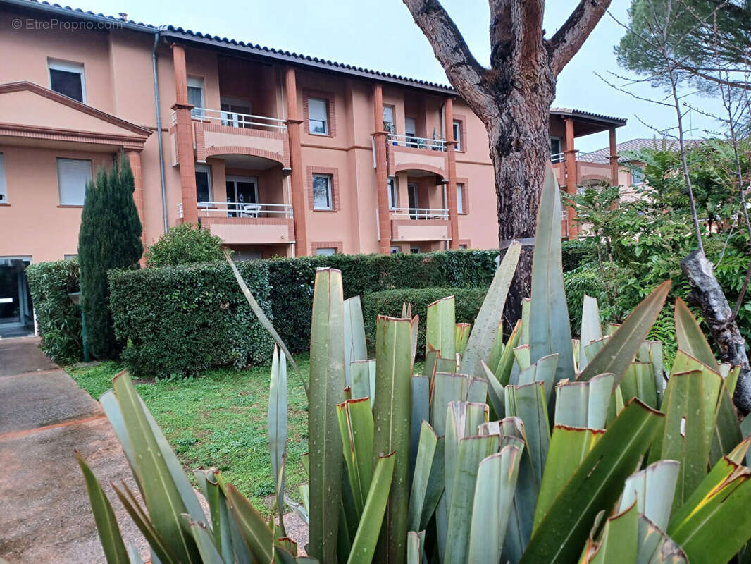 Appartement à COLOMIERS