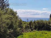 Terrain à TELGRUC-SUR-MER