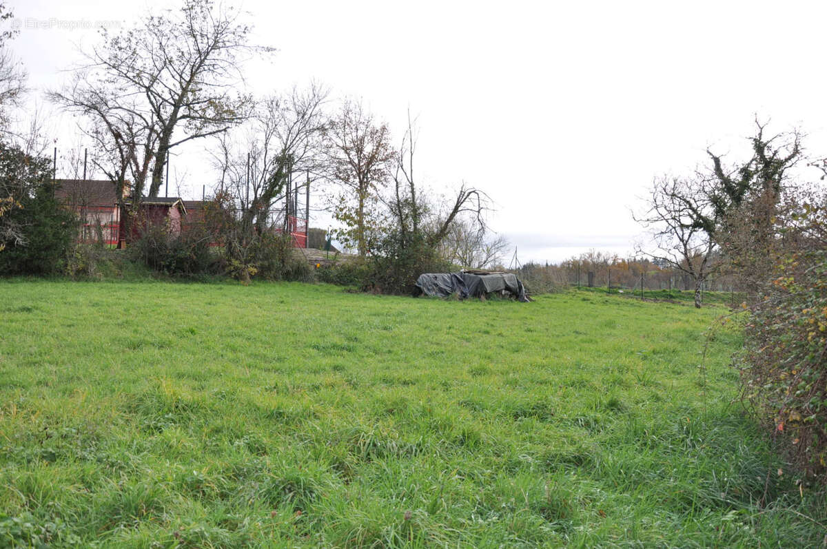 Terrain à SAINT-ETIENNE-DE-VICQ