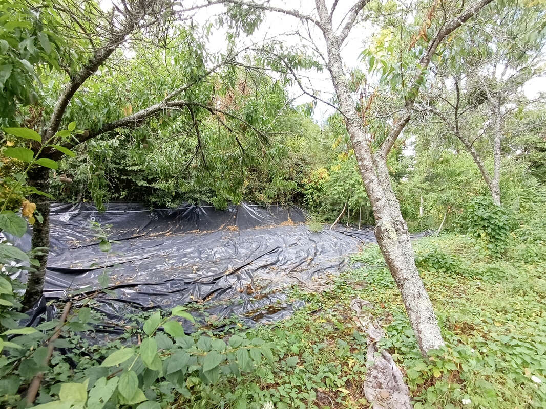 Maison à BEAUCHAMPS